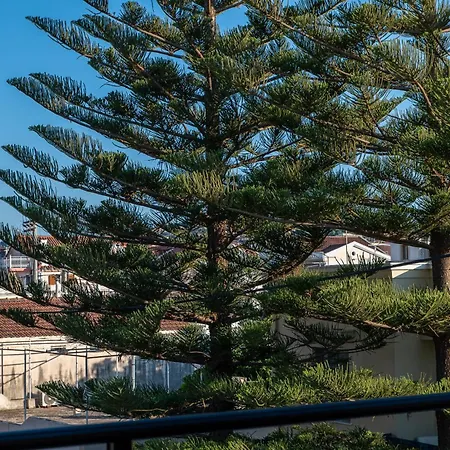 Alimar Holiday home Argostoli (Kefalonia)